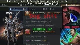 Lost ark new update pet effect guide from rank 1 ark passive artillerist HIDDEN OP discovery guide!