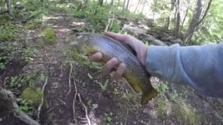 Spring Trout Fishing