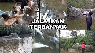 TOP 5 JALA IKAN TERBAIK 2019