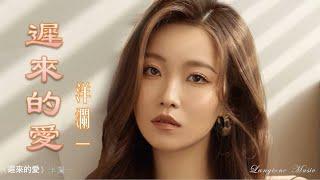 遲來的愛 Chi lai de ai 洋瀾一  Yang Lan Yi #動態歌詞 Lyrics Music