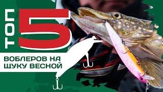 ТОП 5 воблеров на щуку с лодки весной от Павла Лясоцкого