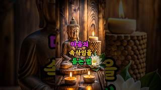 마음이 조용히 무너질 때#불교명언 #마음챙김 #감정회복 #부처님말씀 #내면의평화#부처님말씀 #마음공부
