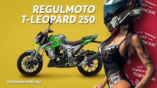 Regulmoto T Leopard 250 - краткий обзор