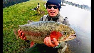 Rainbow trout fishing 13lb on snake fly (6.5kg)