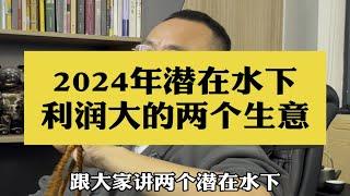 2024年潜在水下利润大的两个生意。做生意 商业思维 暴利行业 打工人 赚钱思维