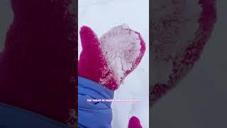 Зима в Сочи ️