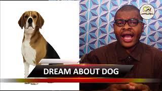 DREAM ABOUT DOG - Evangelist Joshua Orekhie