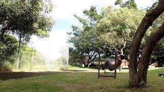 UPTHELEVEL maui calisthenics