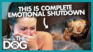 Overly Stressed Dog Shuts Down Emotionally | It's Me or the Dog