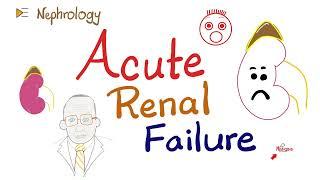 Acute Renal Failure (Azotemia)