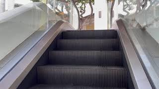 Elevators, Trains, And More: Escalators And Elevators In And Around Maui, HI Part 1!