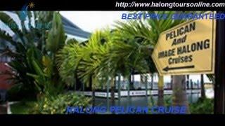 Halong Pelican Cruise,Halong bay tour,Halong bay cruise,Halongtoursonline.com