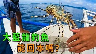 漁民捕到五六只大藍龍，不留著賣居然掛上鉤子釣魚，能回本嗎？