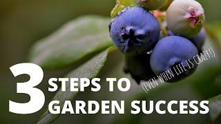 3 Steps to Garden Success (Even When Life is Crazy)