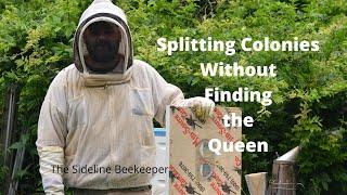 Beekeeping: How we split colonies | Double Screen Boards