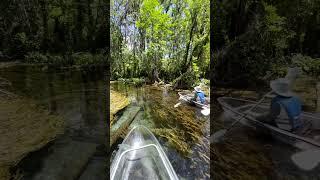 Capturing memories daily @getupandgosilversprings  #getupandgokayaking #visitflorida #silverriver