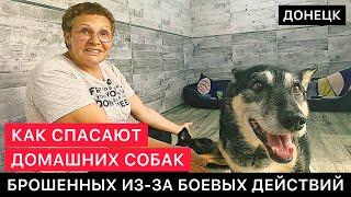 КАК В ДОНЕЦКЕ СПАСАЮТ ДОМАШНИХ СОБАК, БРОШЕННЫХ НА ПРИФРОНТОВЫХ ТЕРРИТОРИЯХ ИЗ-ЗА БОЕВЫХ ДЕЙСТВИЙ.