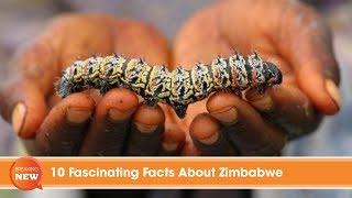 10 Fascinating Facts About Zimbabwe