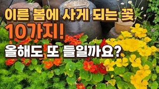 이른 봄에 사게 되는 꽃 10가지! 올해도 또 들일까요?