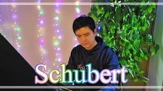 Schubert - Impromptu Op. 90 No. 2 - Leo Bae