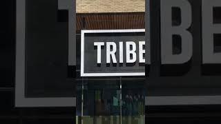 Tribe City Amsterdam ⬇️ Watch the full video