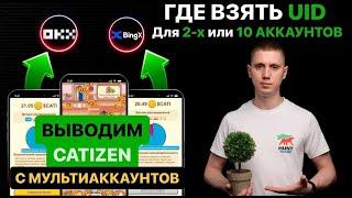 КАК ВЫВЕСТИ С 2 И БОЛЕЕ АККАУНТОВ монеты CATI на биржу OKX и BingX от проекта CATIZEN Мультиаккинг