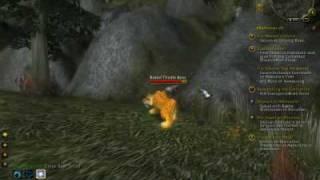 WOW Tharnariun's Hope Quest Video