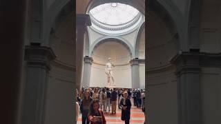 Gallery of the Academy of Florence, Michelangelo's sculpture David, Florence, Italy  #italia