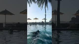  클리프뷰, 오션뷰 수영장이 환상적인 태국 끄라비 라일레이베이 리조트(Railaybay resort) 