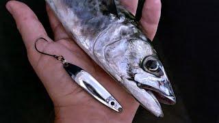 Mackerel Love Metals!  - Mackerel Fishing