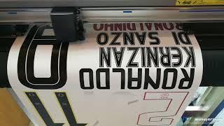 Customize Team Logo,Sponsor Logo,Number,and Name