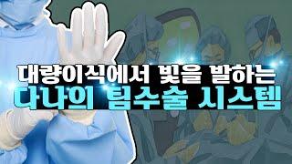 의느님답변대량이식은 '다나' 라는 수식어가 생긴 이유ㅣ다나성형외과(DANA)ㅣ모발이식ㅣ헤어라인교정ㅣ두피문신ㅣ탈모치료ㅣ대량이식