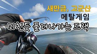 새만금,고군산군도 메탈게임, 미친듯이 풀려나가는 드랙.. 정체는?(feat 동갈치 , 학꽁치 X)