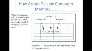 Array Basics and Looping Through an Array