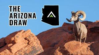 Understanding the 2024 Arizona Draw