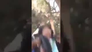Megyn Kelly roasts Luigi Mangione UGLY DAGO MONKEY BRUTAL truth disgusting Italian UnitedHealth CEO