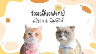 รวมเสียงพากย์ชิเอลกับคิรัวร์ EP1 | ชิเอลแมวมึน คิรัวร์ตัวป่วน