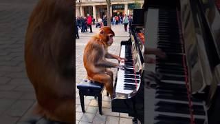 Keyboard  music#nature #villagebeauty #travel #shortsviral #funny #mazar #comedy #shorts