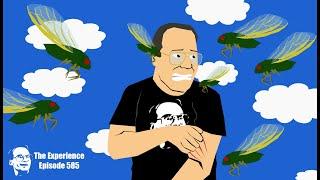Jim Cornette Experience - Episode 585: F Words & A History Lesson