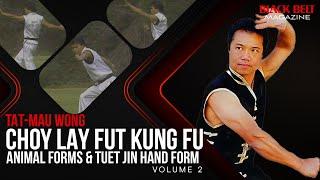 Tat-Mau Wong: Choy Lay Fut Kung Fu (Vol 3) - Animal and Tuet Jin Hand Forms | Black Belt Magazine