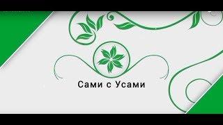 Сажаем рододендромы | Сами с усами