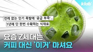 미국에서 난리라는 '초록 음료', 왜 이렇게 인기인지 교민에게 직접 물어봄｜크랩