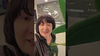 Часто ПЕРЕСТАВЛЯЕТЕ #мебель? #ГульнараУраз #перестановка#ремонт #сон#диван#кровать #матрас #квартира