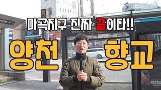 [현장] 홍소장이 직접 가는 임장 첫 시리즈, 마곡지구! #6 양천향교, 마곡지구 아디오스!