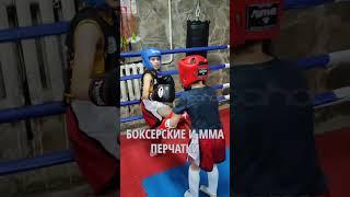 Открой для себя новое измерение боевых искусств!/Новый зал со SportPanda/ #fit #спорт #gym #boxing