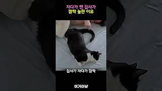 자다가 깬 집사가 깜짝 놀란 이유