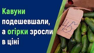 Кавуни подешевшали, а огірки - подорожчали! Херсонці не роблять закрутки з огірками на зиму