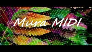 ZED AND ALEPH NULL