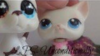 LPS: Unconditionally (MV) Entry for LPSToriandTeri