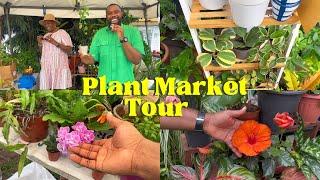 Touring the biggest Plant Fair in Lagos : Lots of rare plants and good vibes !